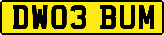 DW03BUM