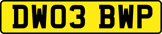 DW03BWP