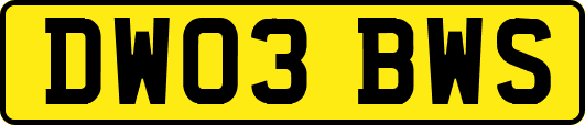 DW03BWS