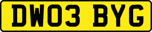 DW03BYG
