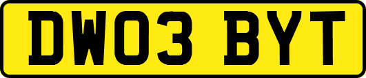 DW03BYT
