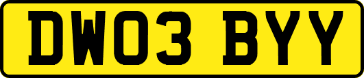 DW03BYY