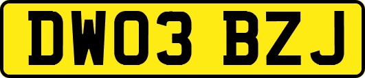 DW03BZJ
