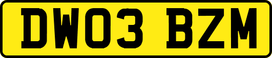 DW03BZM