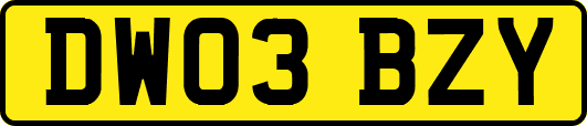 DW03BZY