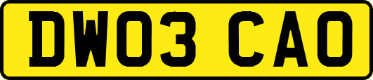 DW03CAO