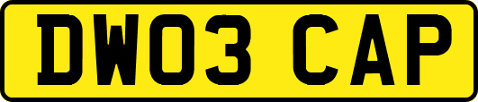DW03CAP