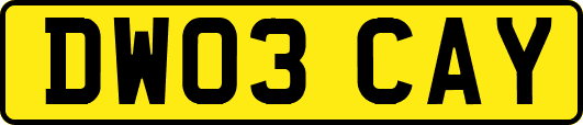 DW03CAY