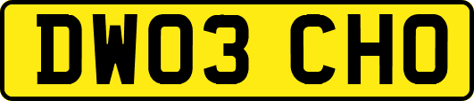 DW03CHO