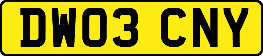 DW03CNY