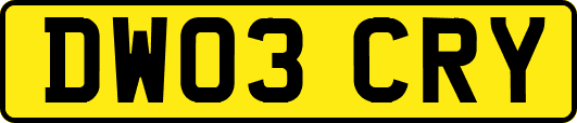 DW03CRY