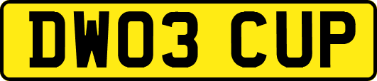 DW03CUP