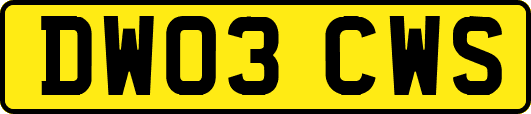 DW03CWS