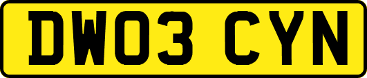DW03CYN