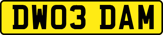 DW03DAM