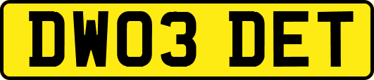 DW03DET