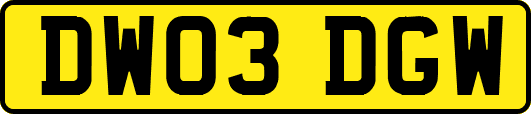 DW03DGW