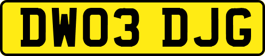 DW03DJG