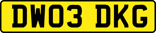 DW03DKG