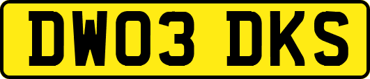 DW03DKS