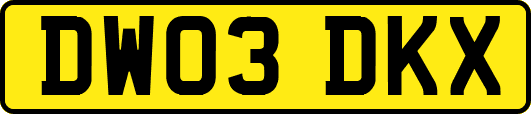DW03DKX
