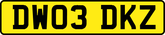 DW03DKZ