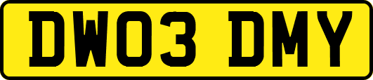 DW03DMY