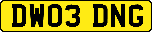 DW03DNG