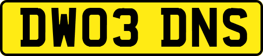 DW03DNS