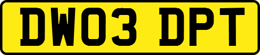 DW03DPT