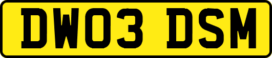 DW03DSM