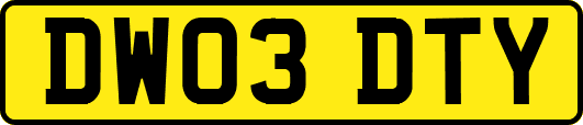 DW03DTY