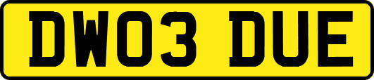 DW03DUE