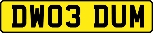 DW03DUM
