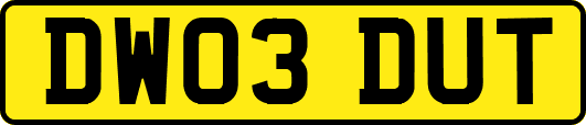 DW03DUT