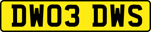 DW03DWS