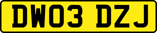 DW03DZJ