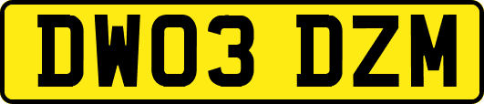 DW03DZM