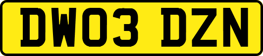 DW03DZN