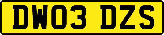 DW03DZS
