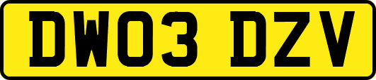DW03DZV