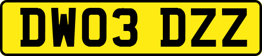 DW03DZZ