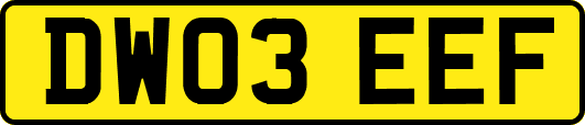 DW03EEF