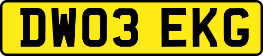 DW03EKG