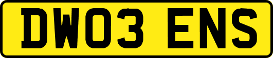 DW03ENS