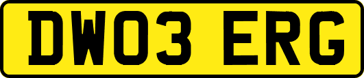 DW03ERG