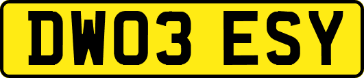 DW03ESY