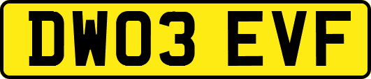 DW03EVF