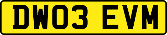 DW03EVM