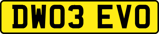 DW03EVO